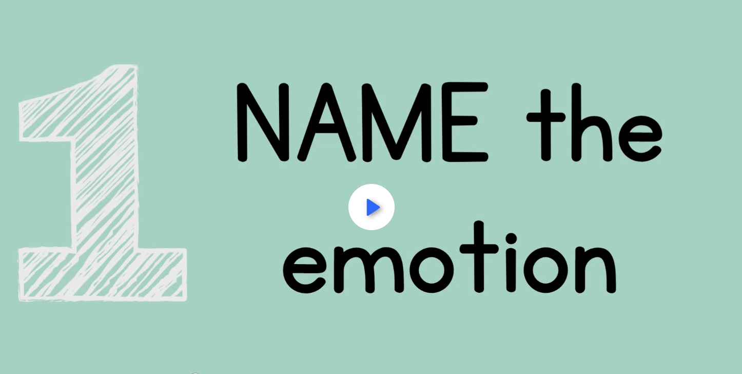 SEL - name the emotion